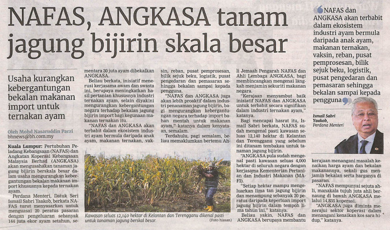 nafas-angkasa-tanam-jagung-bijiran-skala-besar-berita-harian-rabu-15-jun-2022-ms-3-1